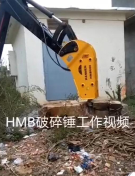 香蕉型HMB680视频展示